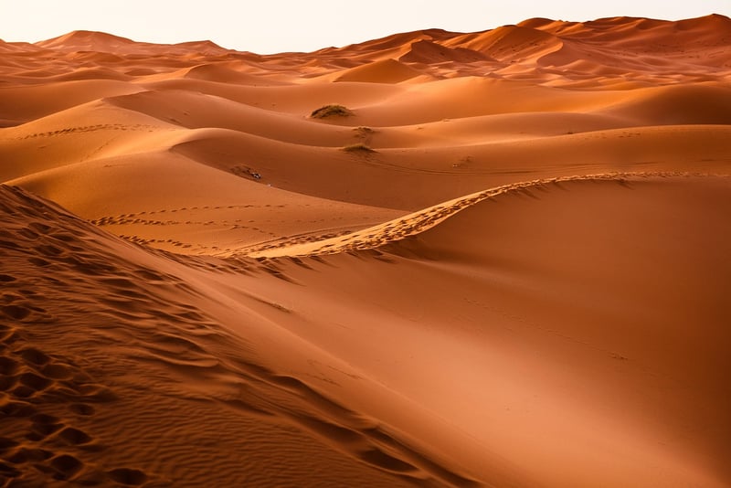 Desert Exploration